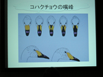 DSCN0751.jpg